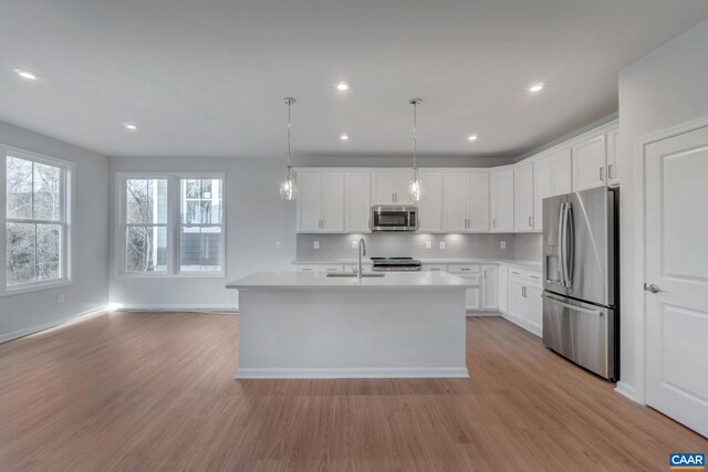 2963 Rambling Brook Ln, Crozet, VA 22932 - kitchen featuring tasteful backsplash, light wood-type flooring, light countertops, appliances with stainless steel finishes, and a sink