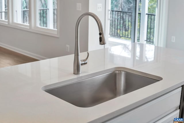 3041 Rambling Brook Ln, Crozet, VA 22932 - interior details featuring a sink and light countertops