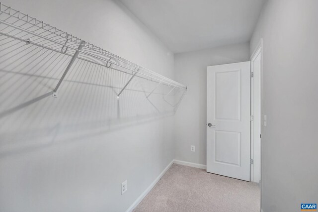 3041 Rambling Brook Ln, Crozet, VA 22932 - walk in closet with carpet floors