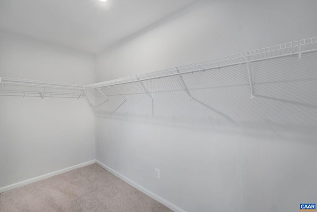 3041 Rambling Brook Ln, Crozet, VA 22932 - spacious closet with carpet flooring