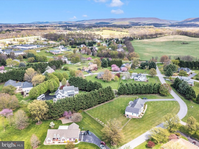 bird's eye view