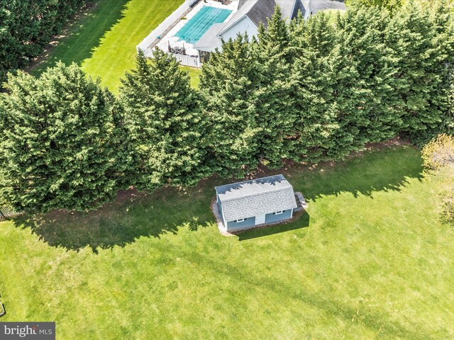 bird's eye view