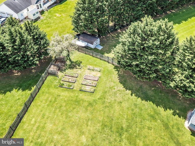 bird's eye view