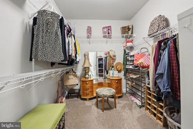 187 Boxelder Dr, Stafford, VA 22554 - walk in closet featuring carpet