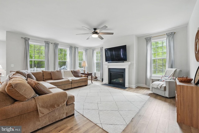 187 Boxelder Dr, Stafford, VA 22554 - living room featuring a fireplace with flush hearth, ceiling fan, and light wood finished floors