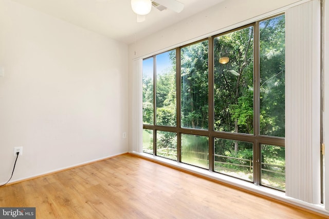 8131 Needwood Rd Unit 102, Derwood, MD 20855 - unfurnished room with ceiling fan, wood finished floors, and baseboards