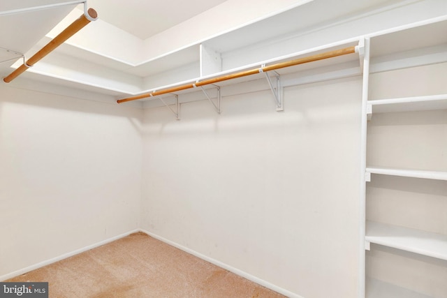 8131 Needwood Rd Unit 102, Derwood, MD 20855 - spacious closet with carpet floors