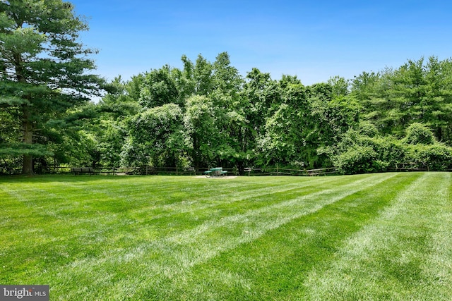 8131 Needwood Rd Unit 102, Derwood, MD 20855 - view of yard