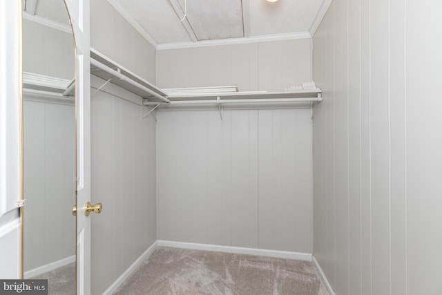 3188 Windrows Way, Eden, MD 21822 - walk in closet with carpet and attic access