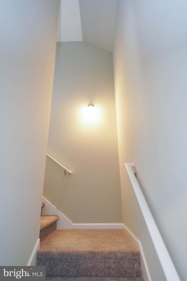 staircase featuring baseboards and carpet flooring