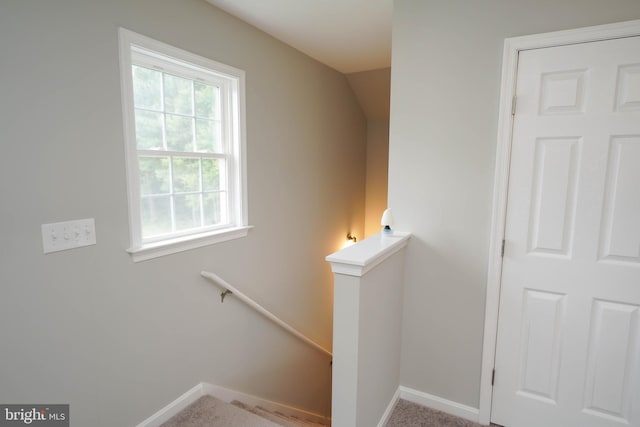 staircase featuring baseboards and carpet