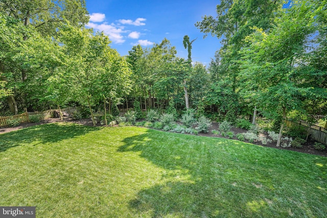 view of yard featuring a fenced backyard