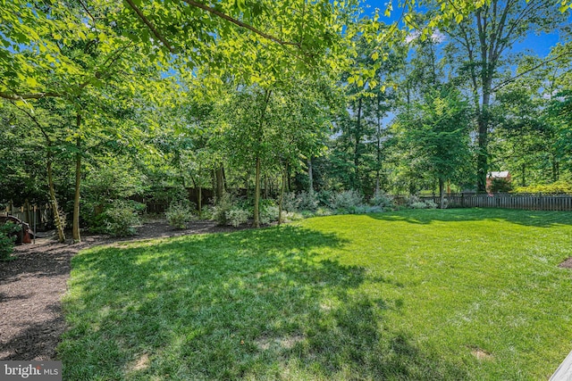 view of yard with a fenced backyard