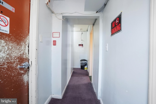 hallway featuring baseboards and carpet flooring