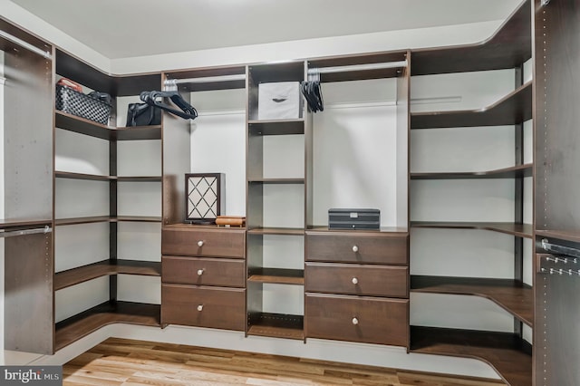 10866 Monticello Ct, Great Falls, VA 22066 - walk in closet featuring light wood-style flooring