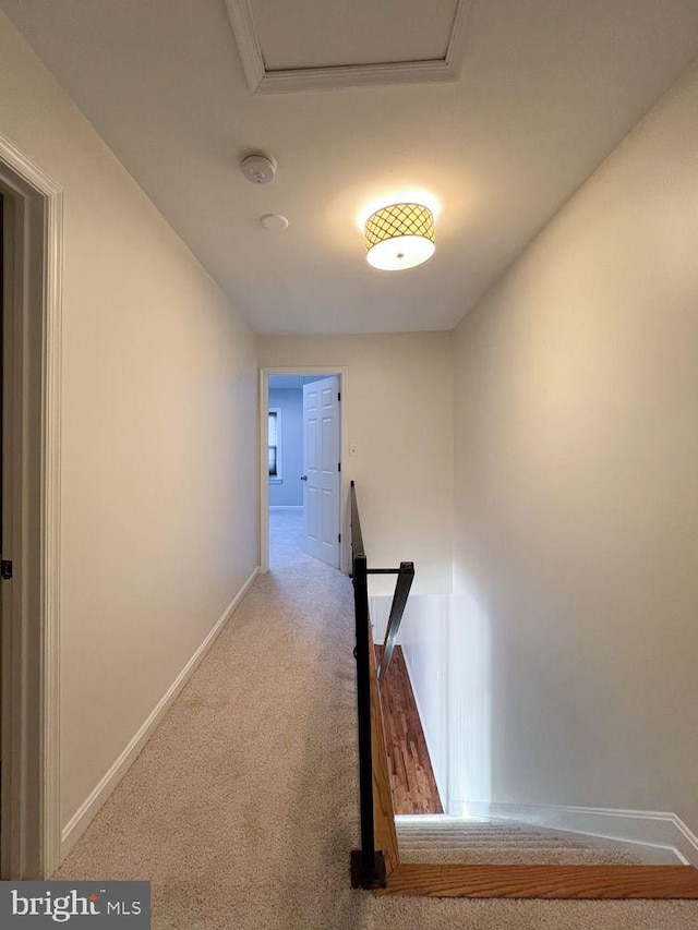 820 S Paca St, Baltimore, MD 21230 - hall featuring baseboards and carpet flooring