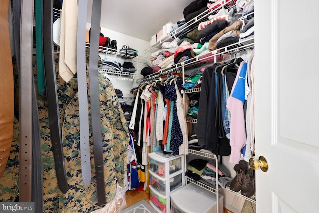 view of spacious closet