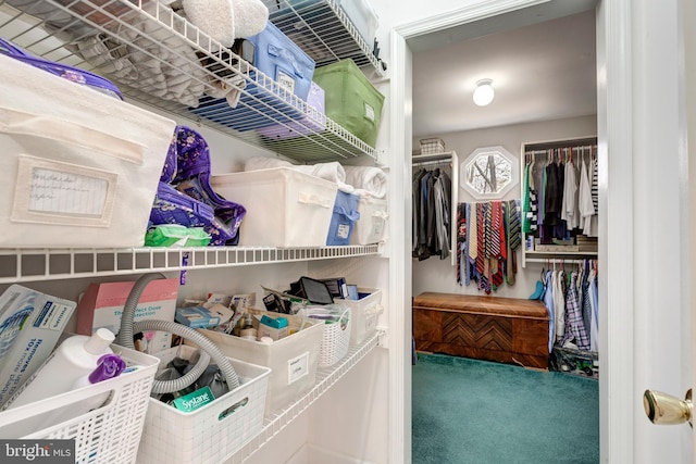 5855 Springmount Ct, Eldersburg, MD 21784 - spacious closet with carpet flooring