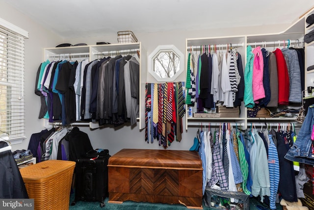 5855 Springmount Ct, Eldersburg, MD 21784 - view of spacious closet