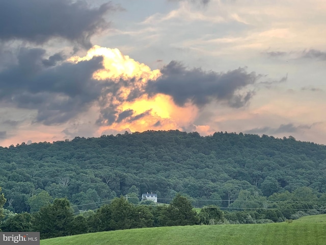 7295 Dudie Rd, Marshall, VA 20115 - view of mountain background with a heavily wooded area