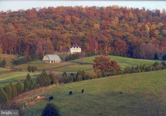 7295 Dudie Rd, Marshall, VA 20115 - view of community with a view of trees and a yard