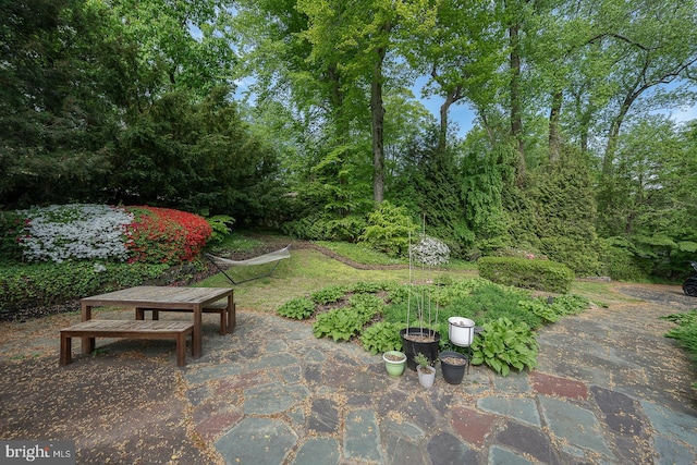 view of yard featuring a patio