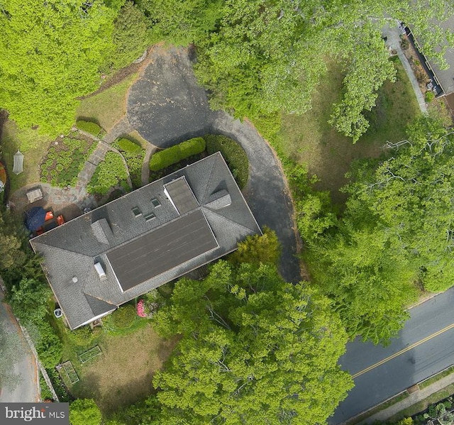 bird's eye view