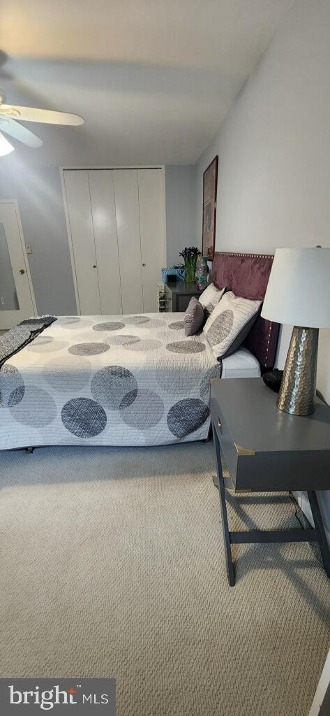 bedroom featuring carpet flooring and a closet