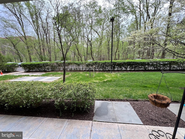 view of yard
