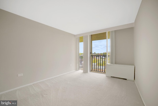 spare room featuring expansive windows, carpet floors, and baseboards