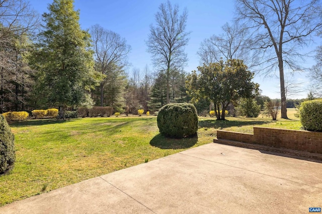 view of yard featuring a patio