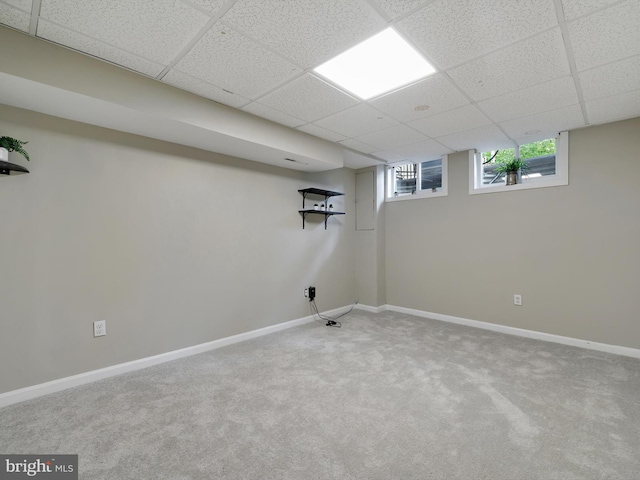 basement featuring a paneled ceiling, carpet, and baseboards