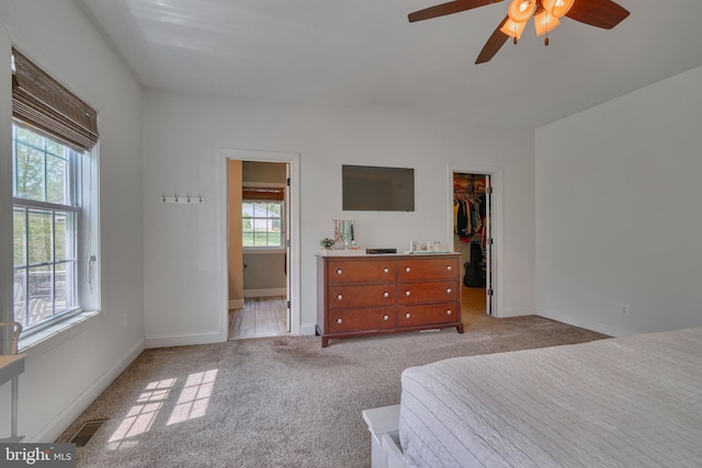 carpeted bedroom with a walk in closet, baseboards, and multiple windows