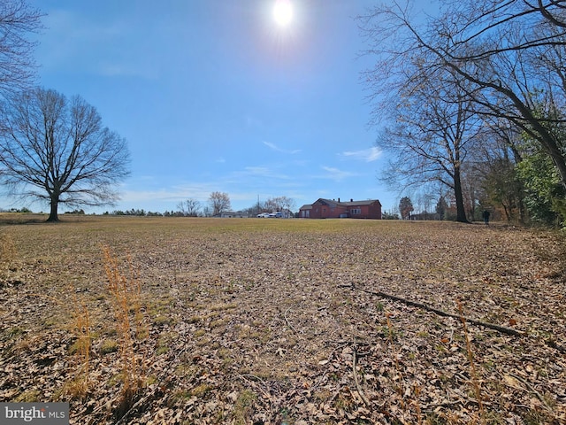 view of yard with a rural view