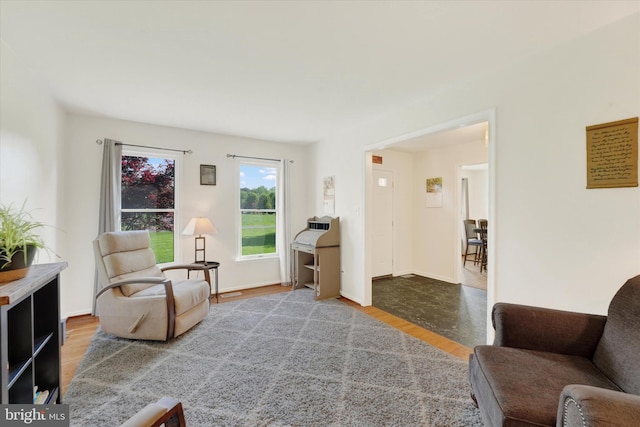 living area with wood finished floors