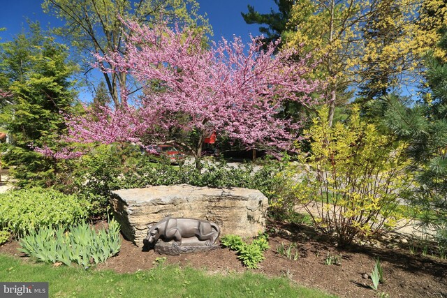 451 E Hamilton Ave, State College, PA 16801 - view of yard