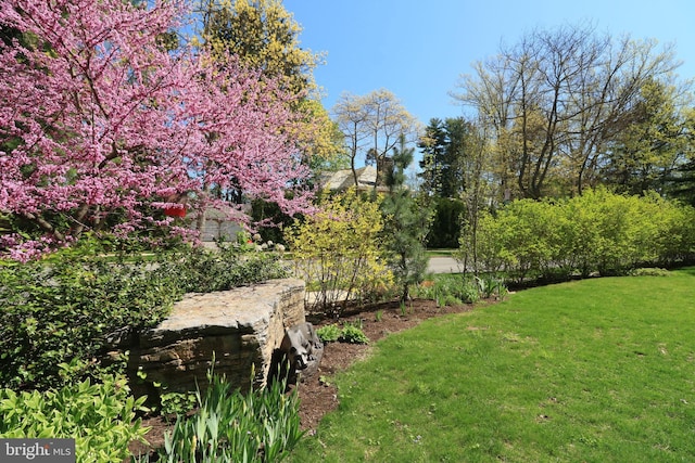 451 E Hamilton Ave, State College, PA 16801 - view of yard