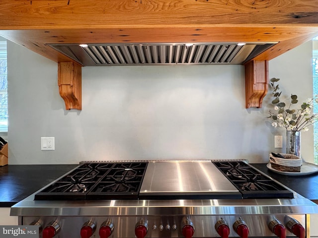 451 E Hamilton Ave, State College, PA 16801 - room details with dark countertops, range, and range hood