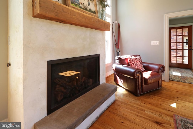 451 E Hamilton Ave, State College, PA 16801 - living area featuring wood finished floors and a fireplace