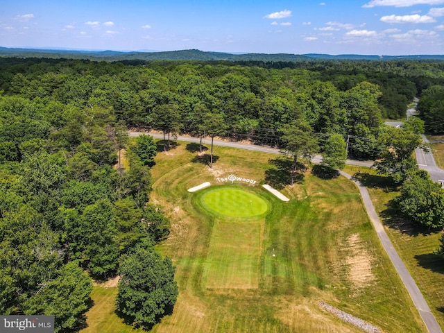 1617 Winter Camp Trl, Hedgesville, WV 25427 - aerial view featuring a forest view