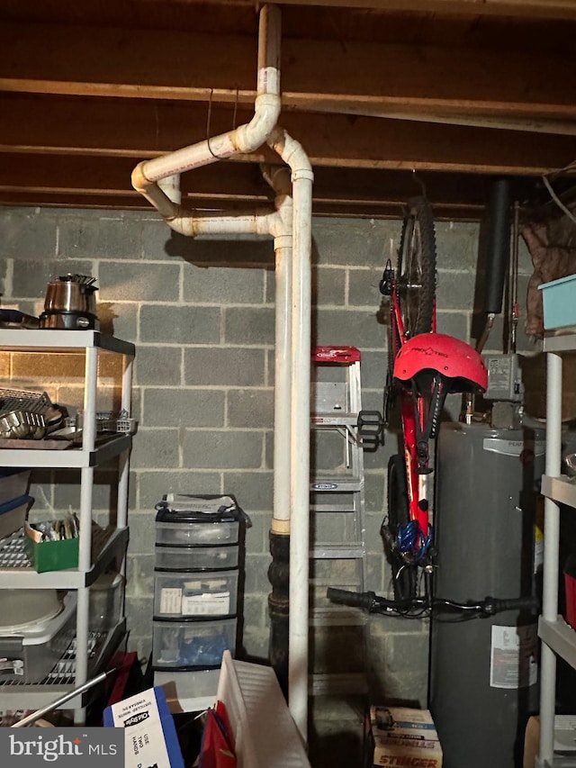 storage room with gas water heater