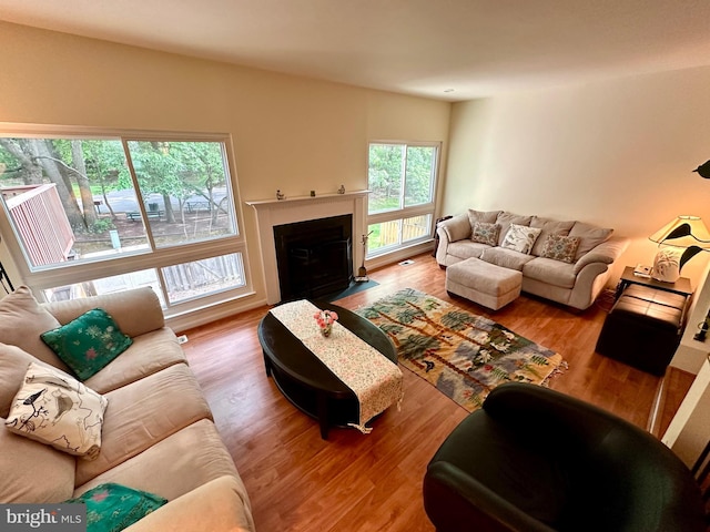 living room with wood finished floors and a fireplace with flush hearth