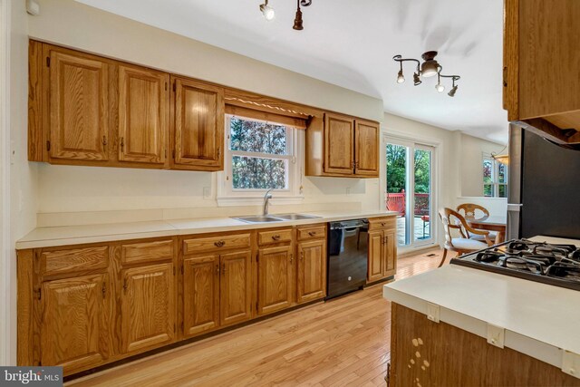 kitchen with light countertops, brown cabinetry, a sink, black dishwasher, and light wood-style flooring
