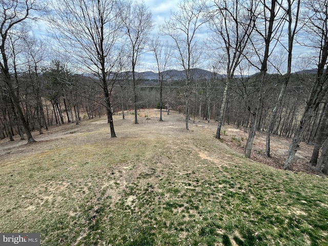 579 Colonial Heights Dr, Fort Ashby, WV 26719 - view of yard with a mountain view