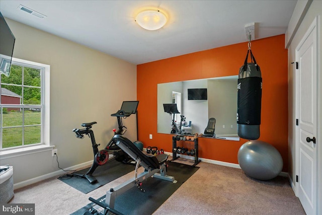 12670 Perrywood Ln, Dunkirk, MD 20754 - workout room featuring carpet, plenty of natural light, and baseboards