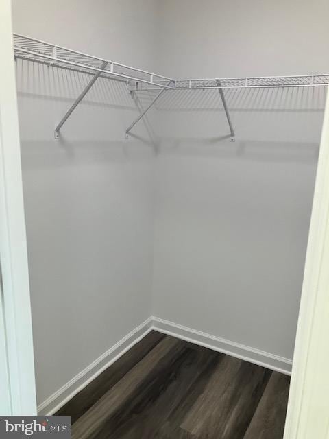 111 Heulings Ave, Riverside, NJ 08075 - walk in closet with dark wood-type flooring