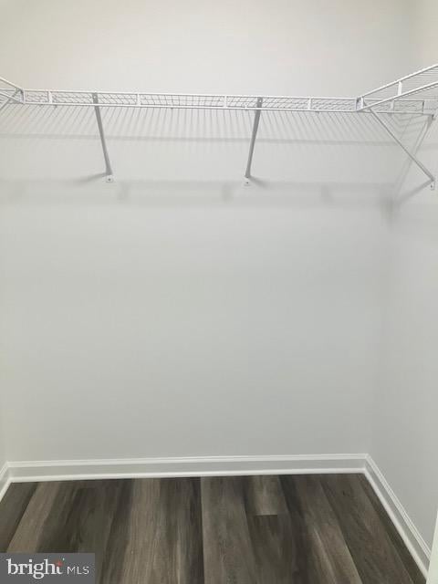 111 Heulings Ave, Riverside, NJ 08075 - spacious closet featuring dark wood-type flooring