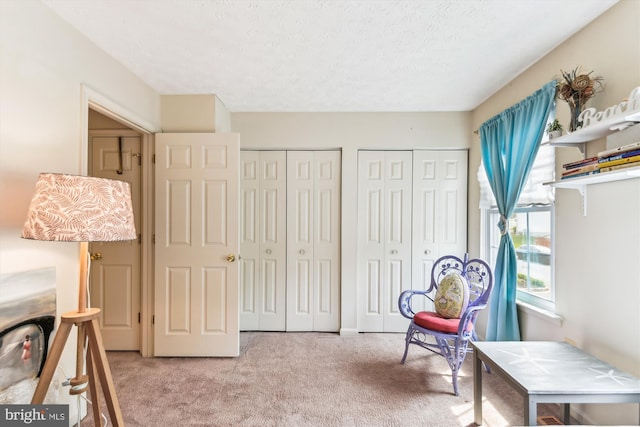 sitting room with light carpet and a textured ceiling