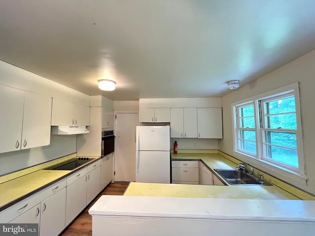 13306 Partridge Dr, Silver Spring, MD 20904 - kitchen featuring freestanding refrigerator, black electric stovetop, under cabinet range hood, oven, and a sink