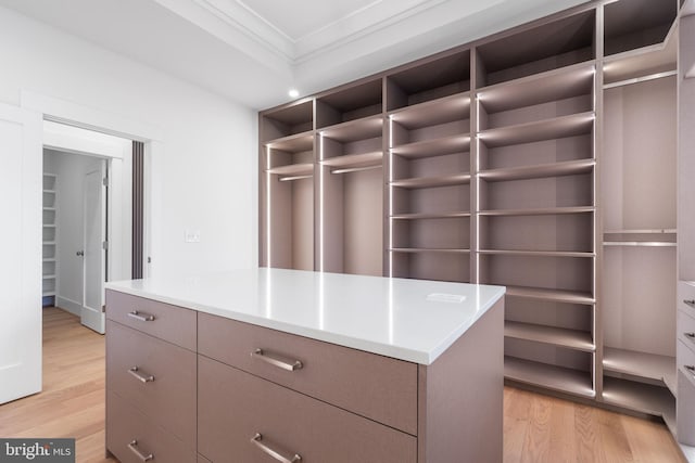 walk in closet featuring light wood finished floors